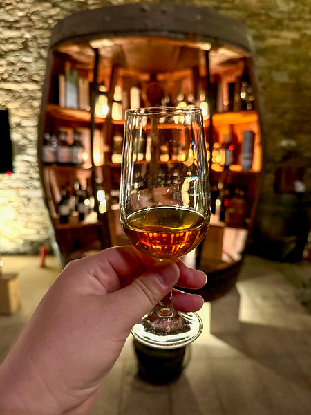 Wine tasting in the Douro Valley